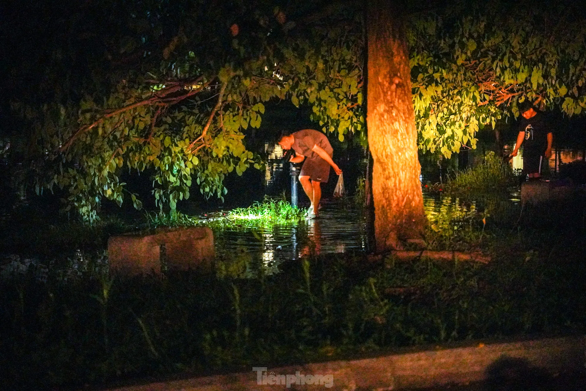 Tranh thủ nước ngập, nhiều người dân sống quanh khu vực đã mang theo xô, đèn pin… ra công viên để mò cá ngay trong đêm.