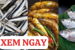 Tin tức sức khỏe - Top 3 loại cá rẻ tiền cực giàu canxi, tốt cho xương khớp 