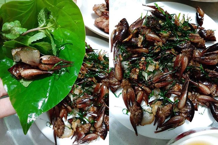 Thợ săn phải có kinh nghiệm, thao tác nhẹ nhàng và nhanh nhẹn. Dụng cụ thường dùng là vợt chuyên dụng, nhưng chỉ cần sơ suất tạo tiếng động lớn, tôm sẽ chui tọt vào hang và không chịu bò ra nữa.&nbsp;
