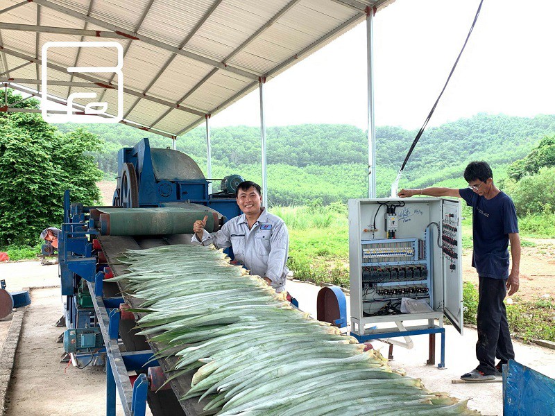 Trên con đường thực hiện dự án làm xơ dứa, quả nửa số bạn bè cùng làm đã từ bỏ giữa chừng nhưng anh Nam vẫn quyết tâm đến cùng, không bỏ cuộc.