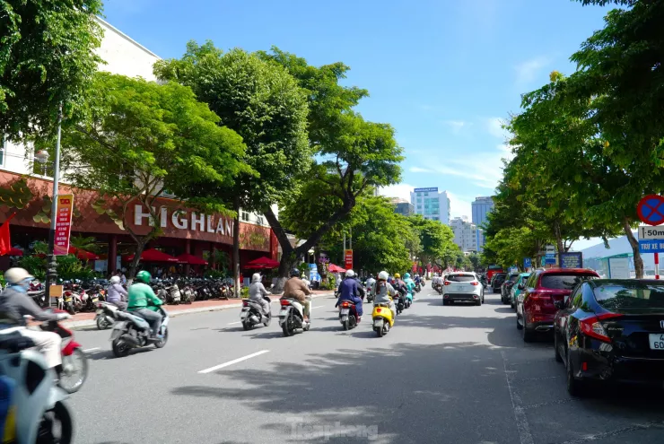 Đắt đỏ nhất là đường Bạch Đằng. Đoạn từ Lê Duẩn đến Nguyễn Văn Linh có giá cao nhất, lên tới gần 341 triệu đồng/m2. Theo bảng giá đất cũ áp dụng từ 1/1/2025, đoạn đường này có giá hơn 286 triệu đồng/m2.