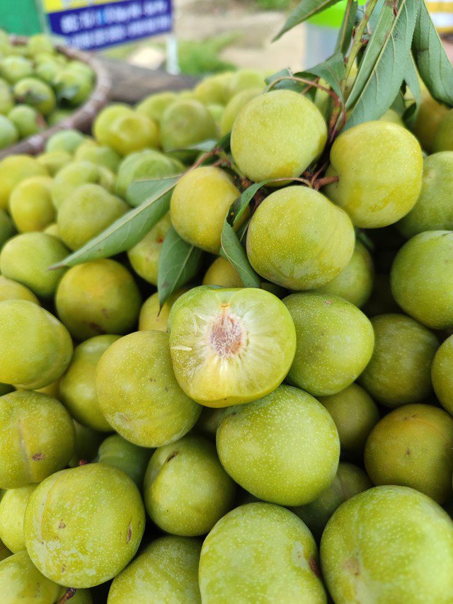 Chị Hoàng Thu Hương (nhân viên văn phòng tại Hà Nội) chia sẻ: "Tôi thấy trên thị trường ngoài mận hậu thì xuất hiện thêm mận xanh róc hạt, được người bán hàng giới thiệu là lấy từ các tỉnh phía Bắc về. Tôi ăn thử thấy cũng ngon nên mua một ít, tuy nhiên, giá mận này cao hơn so với mận hậu tím cũng phải gấp đôi".