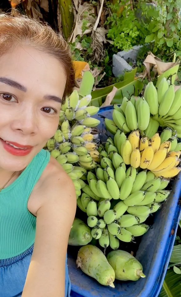 Ca sĩ Mỹ Lệ thu hoạch quả trong vườn.&nbsp;
