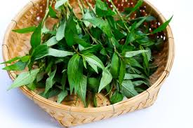Nên chọn mua rau răm tươi, lá nhỏ, mùi thơm đặc trưng, không bị héo úa và không có mùi lạ