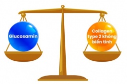 Tổn thương sụn khớp ở người chơi thể thao quá tải: Glucosamine hay Collagen type 2 không biến tính (Collavant n2) phù hợp hơn?