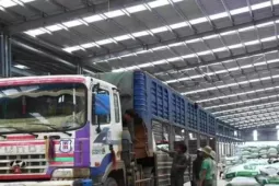 Doanh nghiệp xuất sang Trung Quốc bị từ chối thông quan do sáp nhập tỉnh, huyện, xử lý thế nào?