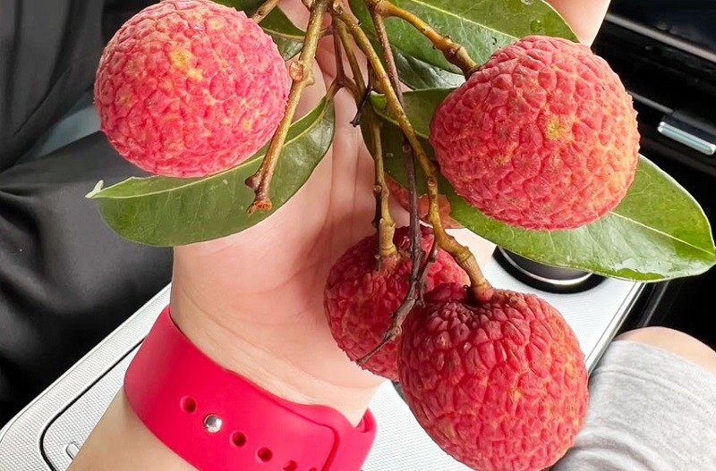 Đây được coi như một trong những trái cây đắt nhất hành tinh.