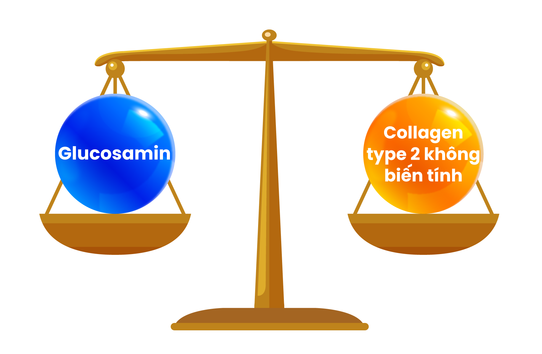 Tổn thương sụn khớp ở người chơi thể thao quá tải: Glucosamine hay Collagen type 2 không biến tính (Collavant n2) phù hợp hơn? - 3
