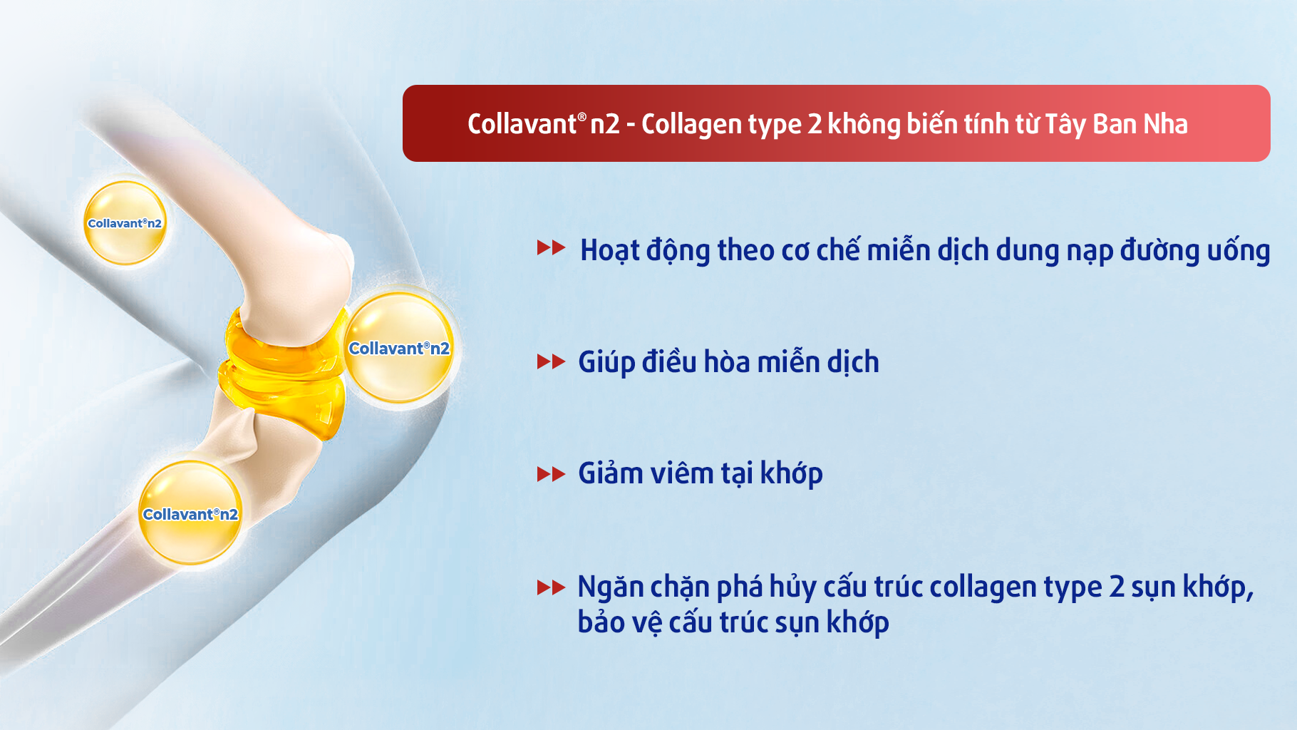 Tổn thương sụn khớp ở người chơi thể thao quá tải: Glucosamine hay Collagen type 2 không biến tính (Collavant n2) phù hợp hơn? - 4