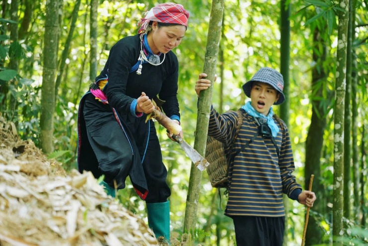 Chị Thông hướng dẫn du khách đào măng rừng. Ảnh: Gia đình Haha