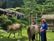 Bản Liền xanh mướt ở Lào Cai gây sốt, nhiều homestay kín lịch đặt phòng