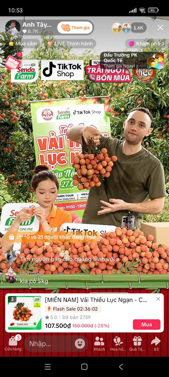 "Anh Tây Ơi" livestream bán vải tại vườn