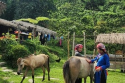 Bản Liền xanh mướt ở Lào Cai gây sốt, nhiều homestay kín lịch đặt phòng