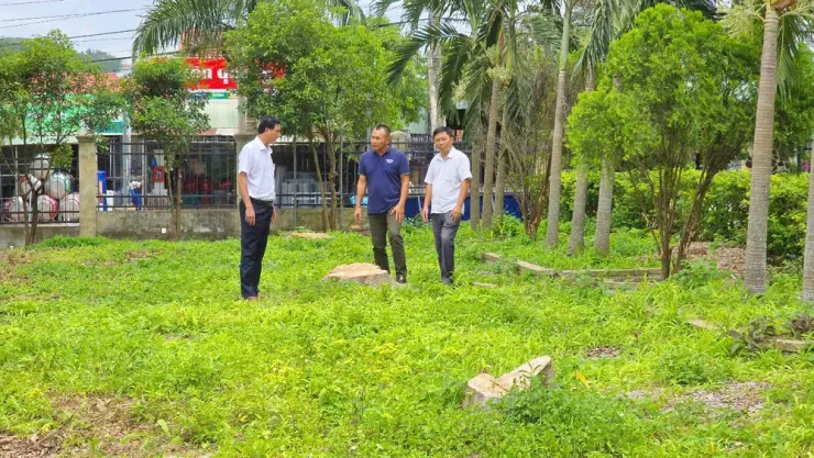 Một số gốc cây xanh đã bị cưa hạ trong khuôn viên trụ sở Đảng ủy xã Kông Bơ La, trước là trụ sở UBND xã Đông, huyện Kbang.