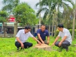 Thêm 1 xã ở Gia Lai cưa hạ, bán cây xanh trong khuôn viên trụ sở