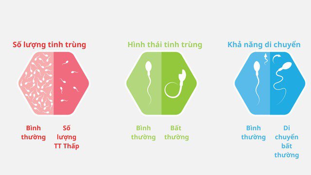 Xét nghiệm tinh dịch đồ đánh giá số lượng, hình dạng và khả năng di chuyển của tinh trùng.