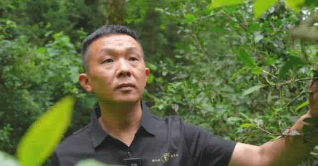 “Chúa nợ” bỏ phố về quê, biến lá cây dại thành ...
