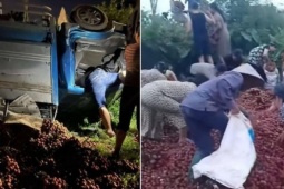 Tài xế chất vải ven đường để sửa xe bị lật, người dân tưởng ' hàng bỏ ' thi nhau lấy