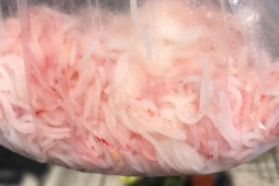 Bún đổi màu bất thường, Ban Quản lý An toàn thực phẩm Tp.Đà Nẵng đề nghị xác minh khẩn