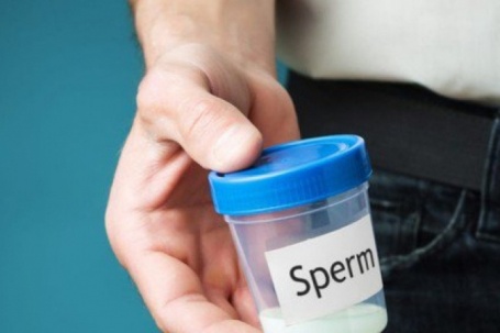 Những yếu tố ảnh hưởng đến chất lượng tinh trùng