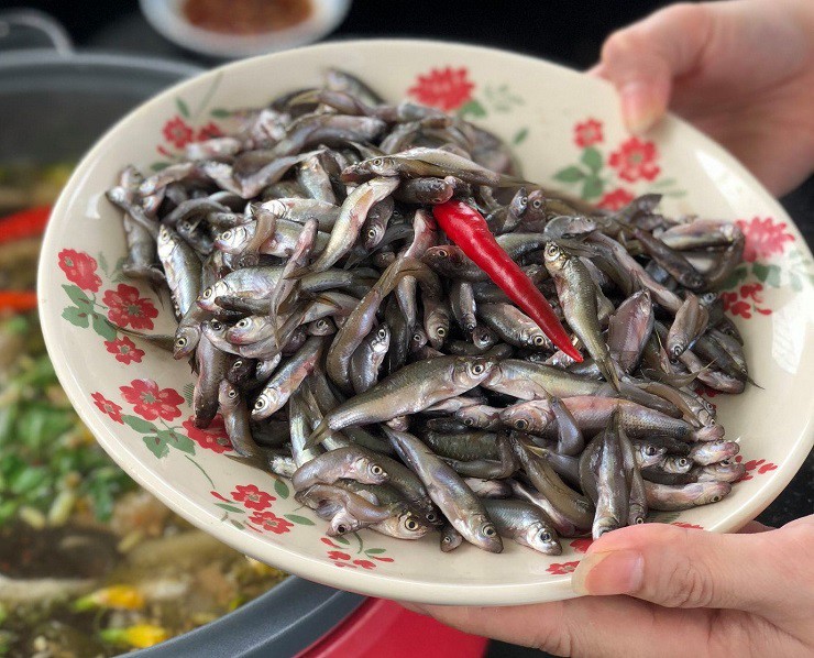 Từ loại cá có giá rẻ như cho, giờ cá linh được coi là đặc sản “hiếm có khó tìm”.
