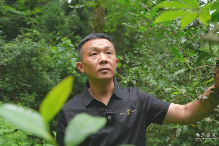 Ảnh: cnhubei.com