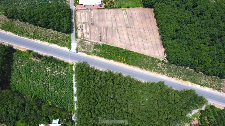 Ngắm tuyến đường như dải lụa xuyên rừng nối các tỉnh, thành miền Đông Nam bộ - 11