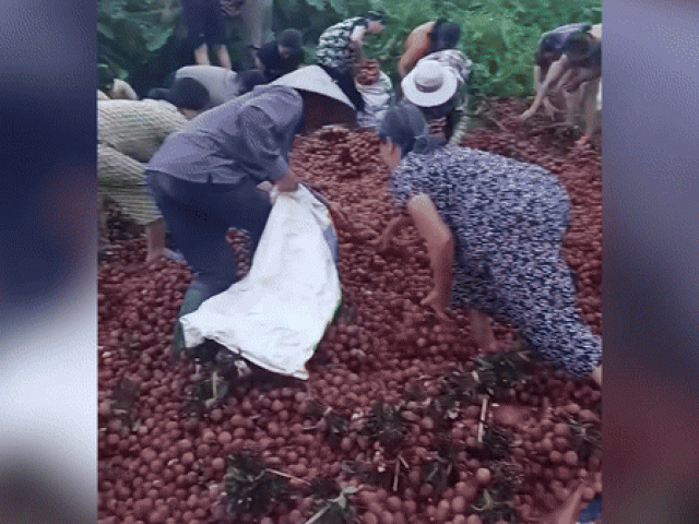 Chủ xe vải bị lật: 'Phát khóc khi thấy bà con lấy gần hết hàng'