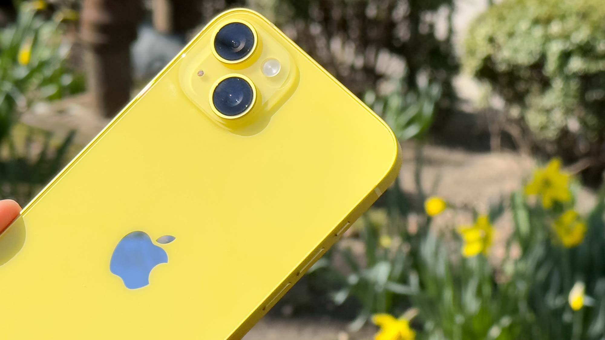 iPhone từng gây sốt thị trường nay giá giảm kỷ lục cả chục triệu đồng - 1