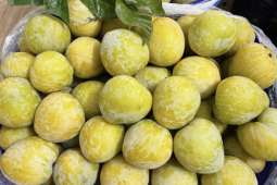 Thêm một loại quả Trung Quốc đổ bộ chợ Việt, giá 450.000 đồng/kg vẫn  " cháy hàng " 