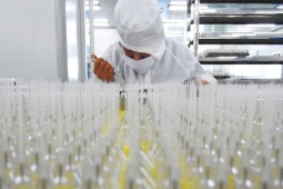 Kinh tế 24h: Ông Trump áp thuế 25% lên hàng hóa Nhật Bản, Hàn Quốc