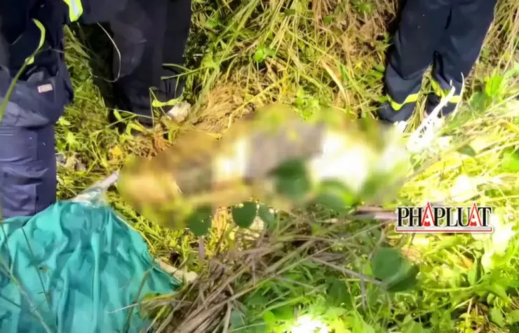 Thi thể nạn nhân được tìm thấy trên núi Sơn Trà, đoạn gần chân núi. Ảnh: MINH TRƯỜNG.
