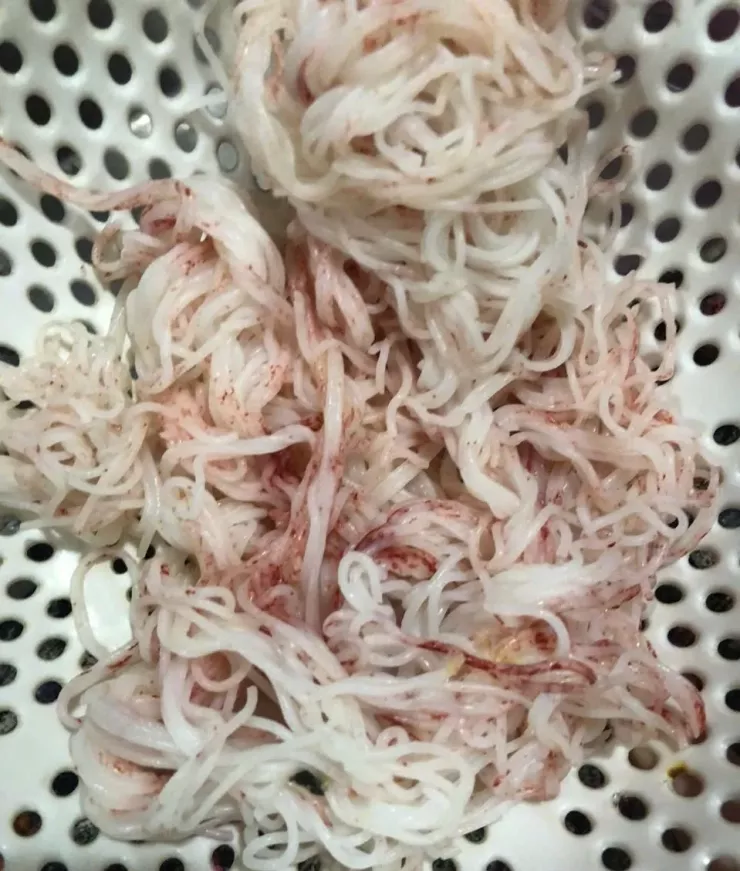 Số bún này được người dân để ở điều kiện thoáng mát nhưng lại chuyển màu đỏ.