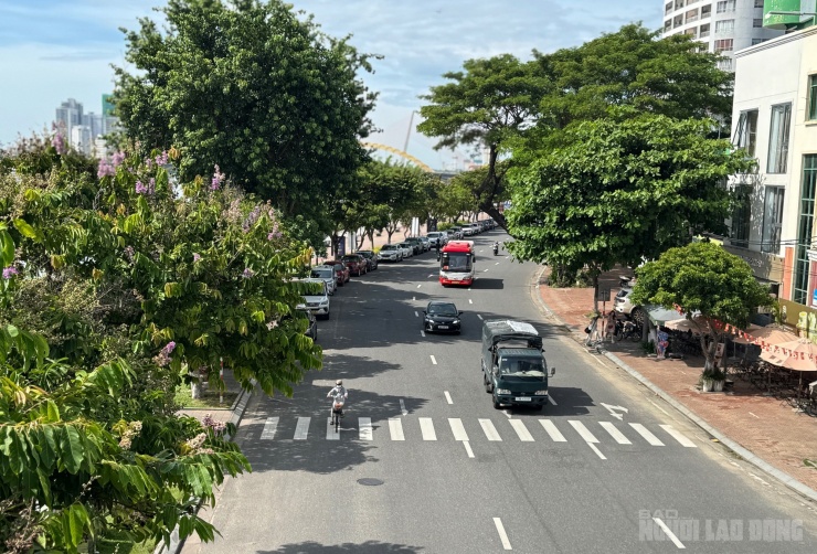 Đường Bạch Đằng (đoạn từ Lê Duẩn đến Nguyễn Văn Linh) là tuyến đường ven sông Hàn đẹp bậc nhất Đà Nẵng trở thành nơi có giá đất cao nhất thành phố, hơn 340 triệu đồng/m².