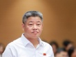 Phó Chủ tịch UBND TP Hà Nội: Có chuyện đêm lén lút phun thuốc, sáng đem rau đi bán