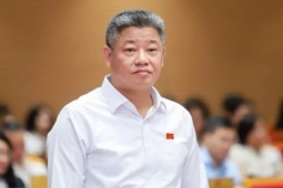 Phó Chủ tịch UBND TP Hà Nội: Có chuyện đêm lén lút phun thuốc, sáng đem rau đi bán