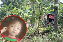 Vụ bé gái 2 tuổi mất tích bí ẩn ở Lâm Đồng: Huy động gần 100 người tìm kiếm