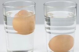 Cách nhận biết trứng đã hỏng
