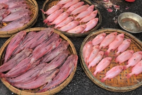 Đà Nẵng: Ban quản lý chợ Cẩm Lệ nói gì về phản ánh cá biển có màu bất thường?