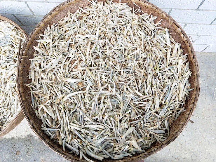 Củ cải “biến dạng” mà siêu năng suất, xưa là rau cứu đói, nay giúp “hái ra tiền” - 3