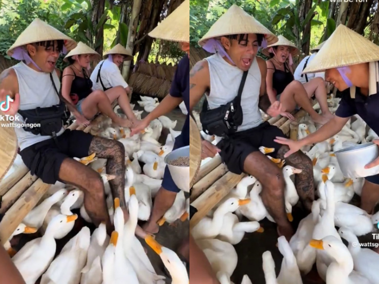 Thời gian gần đây, bên cạnh du lịch tham quan, du lịch nghỉ dưỡng, nhiều du khách Tây lựa chọn mô hình du lịch trải nghiệm, khi họ cùng được sống, sinh hoạt như người bản địa thực thụ. Chính những điều này cũng làm nên nét đặc biệt cho du lịch những địa danh vùng cao của Việt Nam như Hà Giang, Lào Cai.