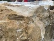 Cháu bé 2 tuổi bị đá trên đồi rơi trúng, tử vong