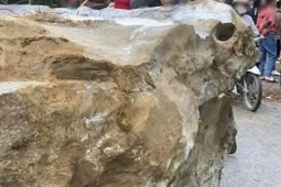Cháu bé 2 tuổi bị đá trên đồi rơi trúng, tử vong