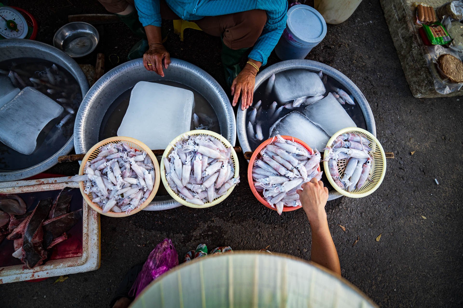 Hải sản bày bán tại khu chợ
