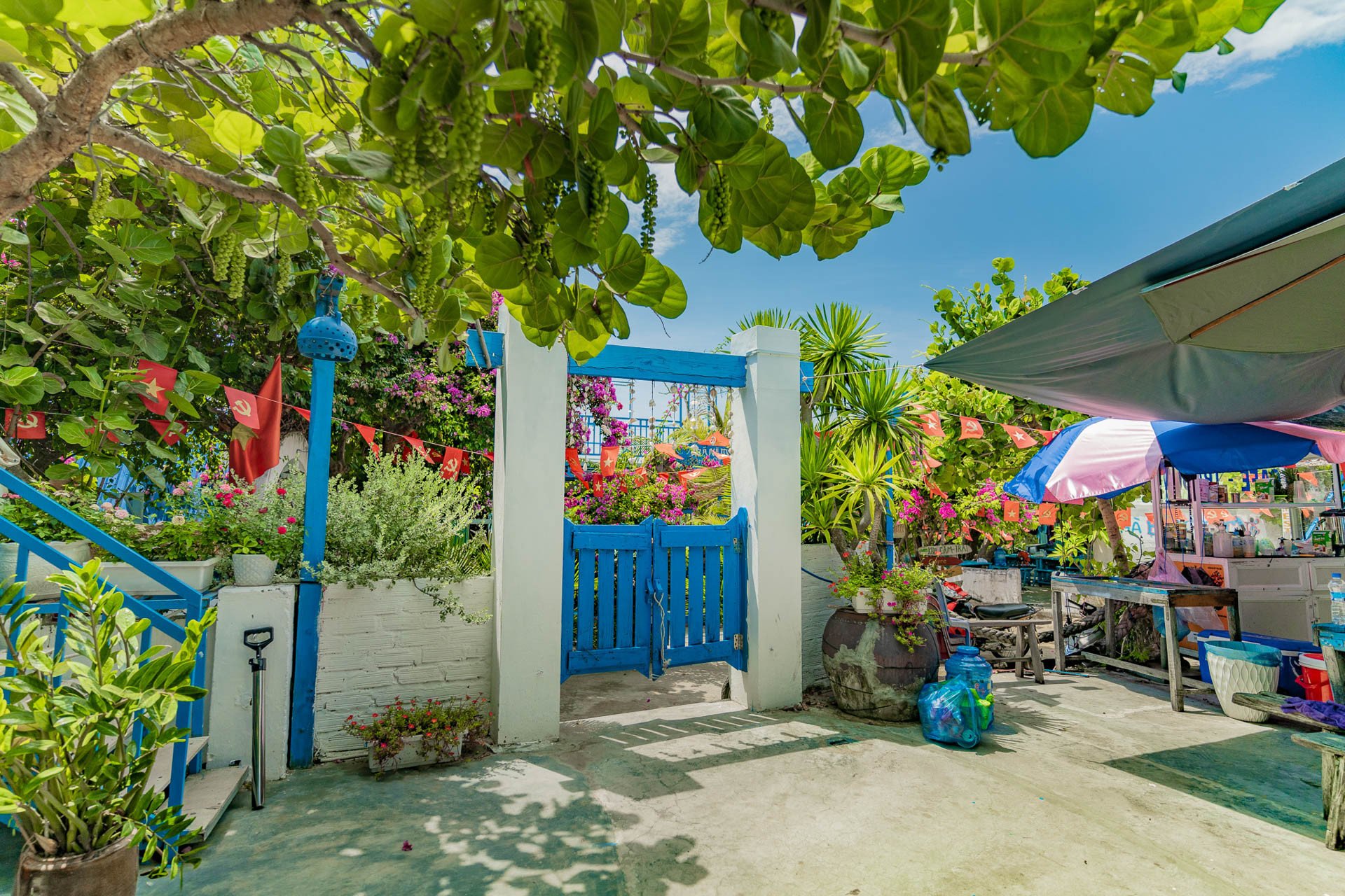 Làng chài ở Gia Lai có biển xanh cát trắng, cầm 50 ngàn 4 người ăn sáng no nê - 6