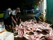 Công an ập vào kiểm tra lò mổ lợn nhiễm bệnh