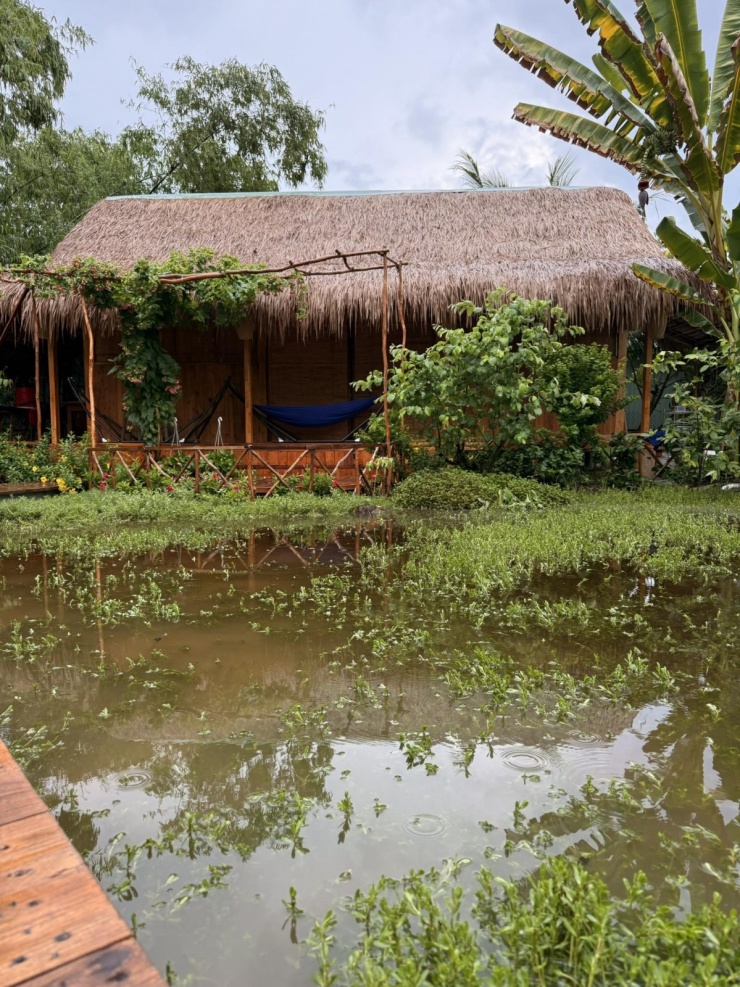 Phía sau ngôi nhà, diễn viên đào thêm cái ao để thả cá, tạo khung cảnh lãng mạn, đậm chất miền Tây.