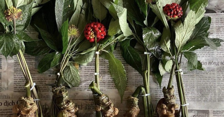 Loại hạt đắt đỏ bậc nhất thế giới, giá 240 triệu đồng/kg, chỉ duy nhất Việt Nam mới có - 1