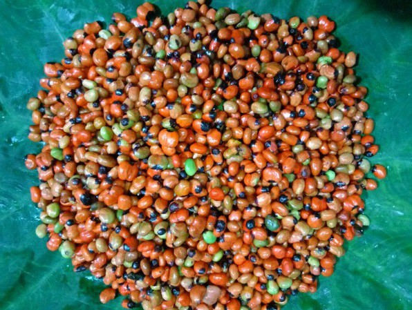 Loại hạt đắt đỏ bậc nhất thế giới, giá 240 triệu đồng/kg, chỉ duy nhất Việt Nam mới có - 7