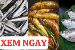 Tin tức sức khỏe - 3 loại cá rẻ tiền cực giàu canxi, tốt cho xương khớp 